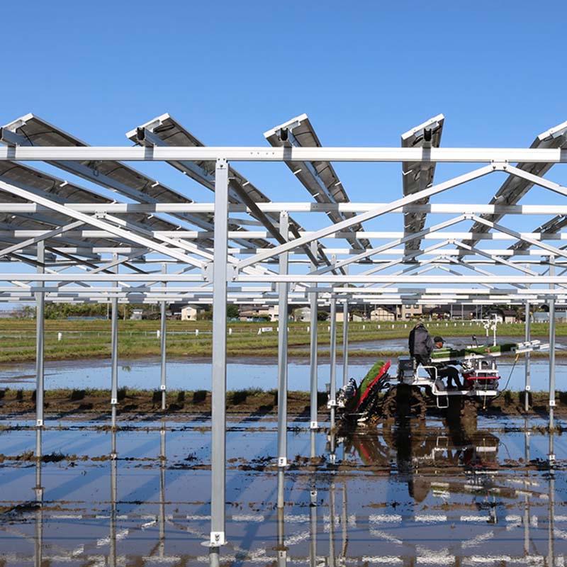solar farm mount